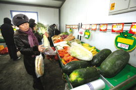 新疆商務(wù)主打民生牌，新鮮蔬菜零售前沿實(shí)踐