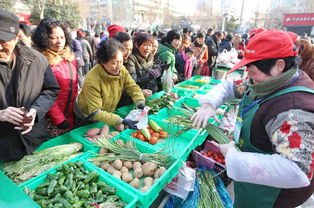 平價(jià)惠民，新鮮蔬菜零售助力健康生活